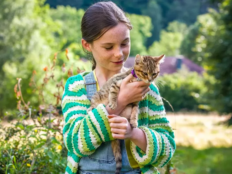 Il trailer di Vita da gatto è la cosa più dolce, tenera e commovente che vedrete oggi