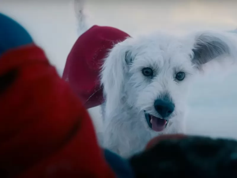 Superman: il cane di James Gunn vede sé stesso nel trailer, la reazione è impagabile