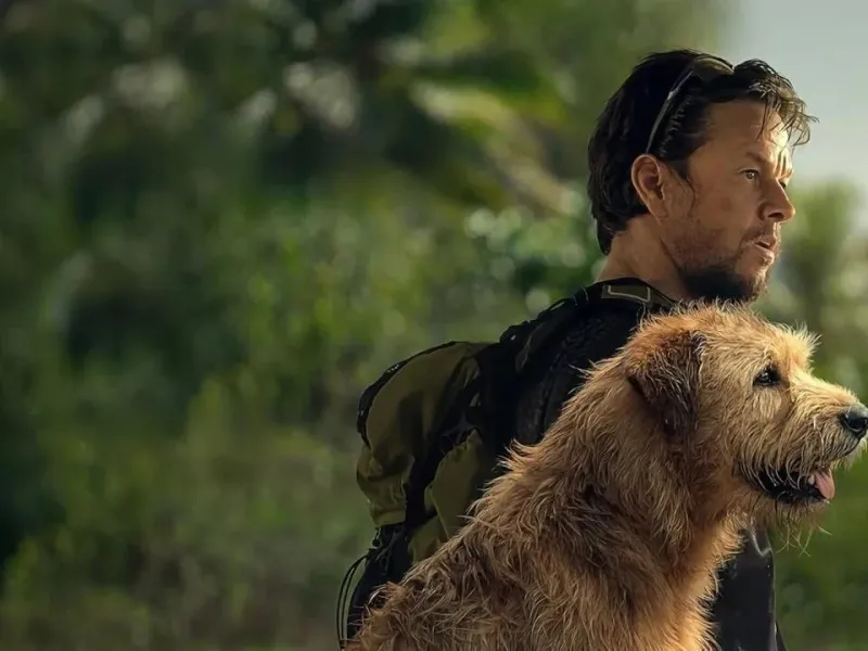 Arthur the King, spiegazione del finale del film con Mark Wahlberg